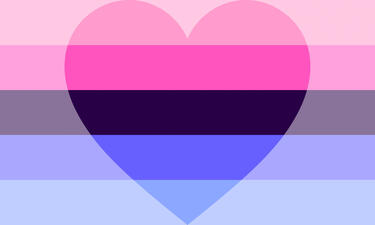 Omniromantic is an orientation defined as the romantic attraction to all genders, though gender often still plays a role in one's attraction. - LGBTQIA+ Wiki